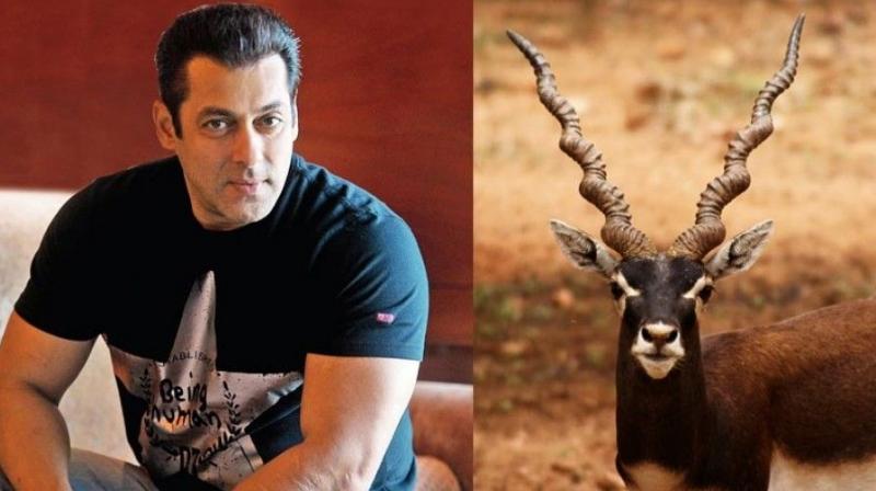 Salman Khan must visit the temple and ask for forgiveness, according to Bishnoi Society